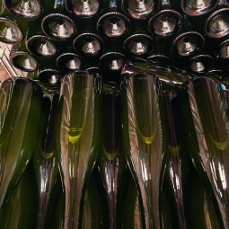 Les vins d’Alsace Pernet pour votre fin d’année